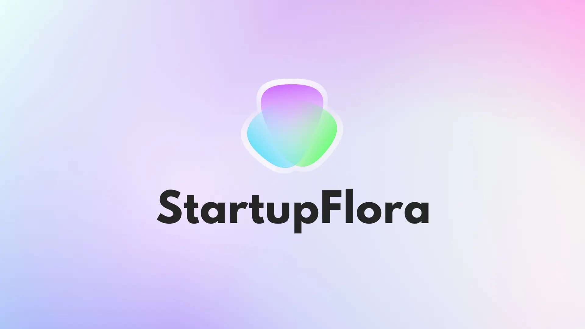 blog banner