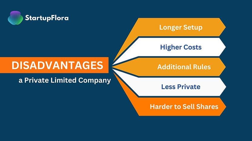 Disadvantages of a Private Limited Company